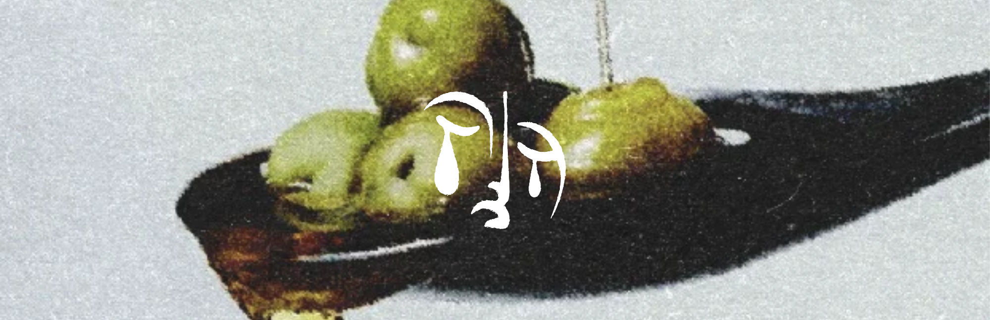 Aceitunas y aceite de oliva de LA CONDENÁ